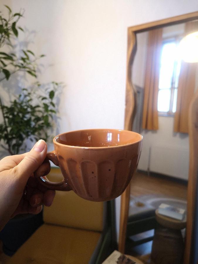 Codicei Studio Braşov Esterno foto